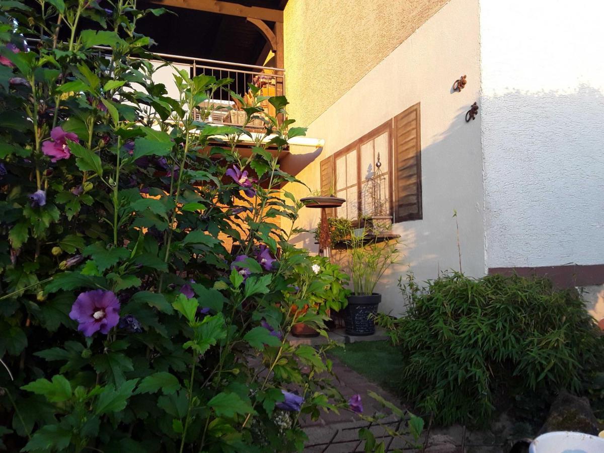 Apartament Haus Sonnenblick Momlingen Zewnętrze zdjęcie